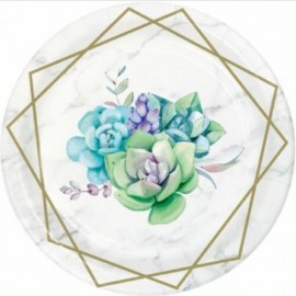 8 Platos 18 cm GEOMETRIC SUCCULENTS 8 Platos 18 cm GEOMETRIC SUCCULENTS