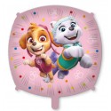 Skye y Everest Standard Folienballon