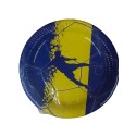 Teller Fußball Blau Gelb