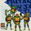 Ninja Turtles Servietten