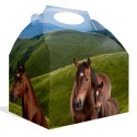 Pferde Geschenkbox