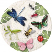 Insektengeburtstag